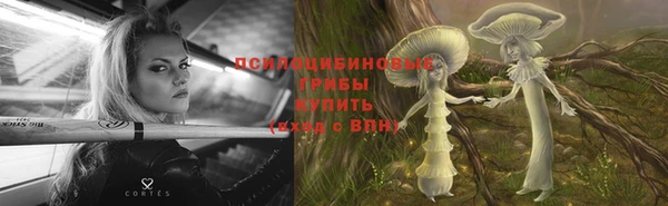 сатива Абдулино