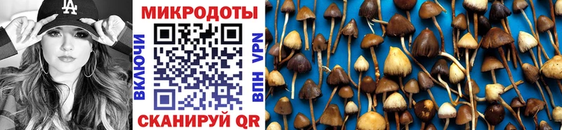 Галлюциногенные грибы Magic Shrooms  купить   Одинцово 