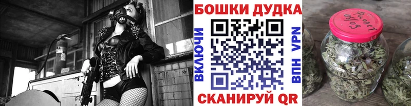 купить наркотики цена  Одинцово  Конопля индика 